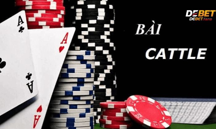 Game bài Catte là một trò chơi được nhiều người yêu thích